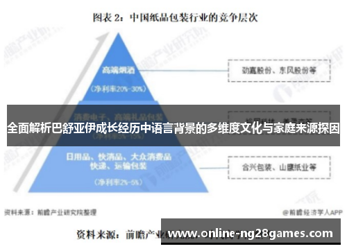 全面解析巴舒亚伊成长经历中语言背景的多维度文化与家庭来源探因