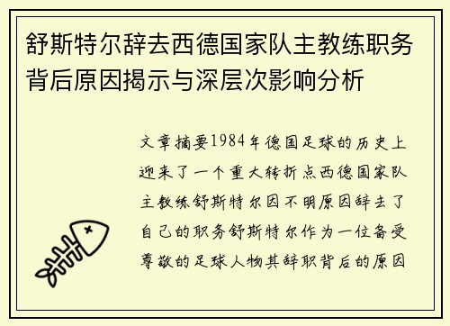舒斯特尔辞去西德国家队主教练职务背后原因揭示与深层次影响分析